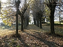 Campagna in autunno 3248.Solitudine